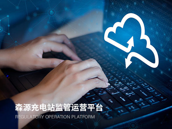 森源充電站監(jiān)管運營平臺